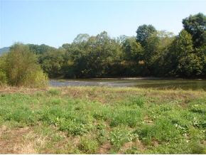 0 Conklin Road Limestone, TN 37681 - Photo 8 of 9 Photo 8