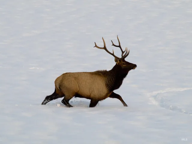 $100,000 | 10 Blk Whitewater Way, Garden Valley, ID 83622