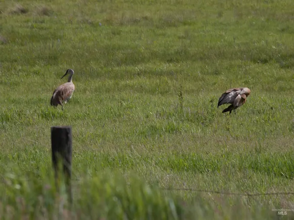 $100,000 | 10 Blk Whitewater Way, Garden Valley, ID 83622