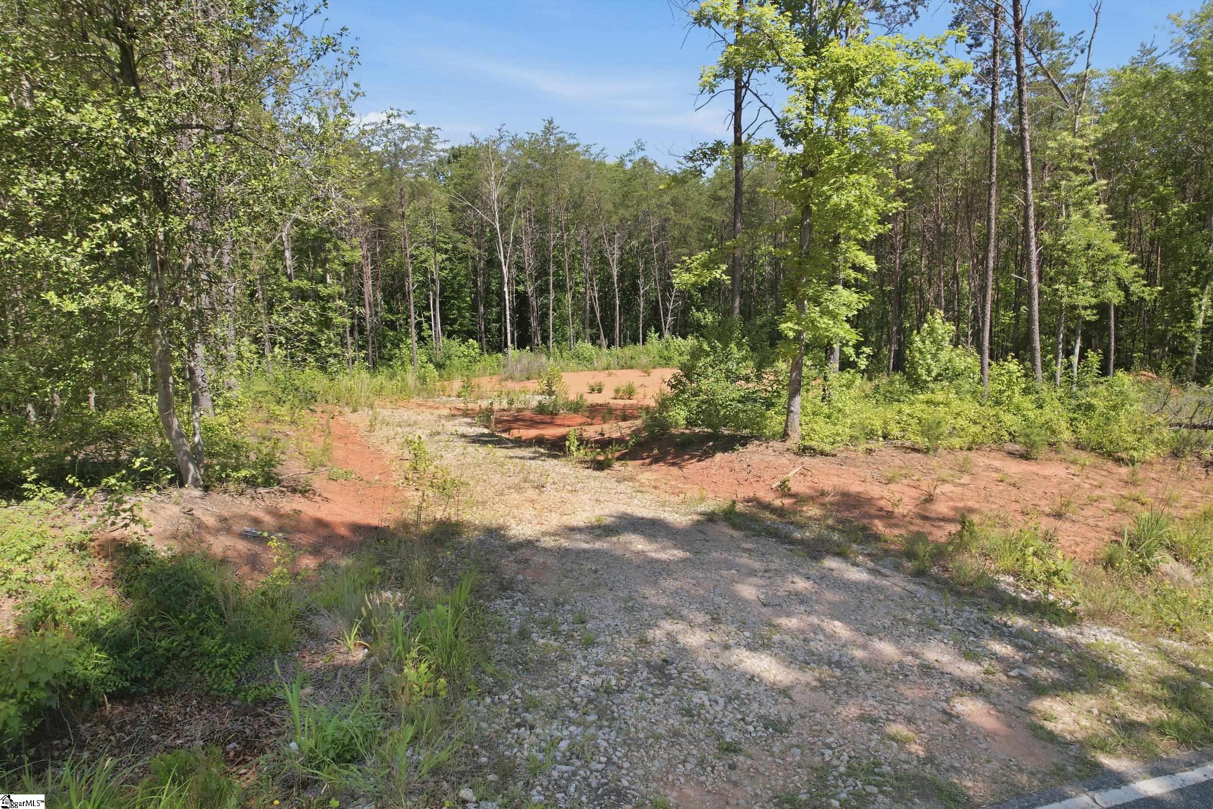 129 Tugaloo Road Landrum, SC 29356 - Photo 14 of 34