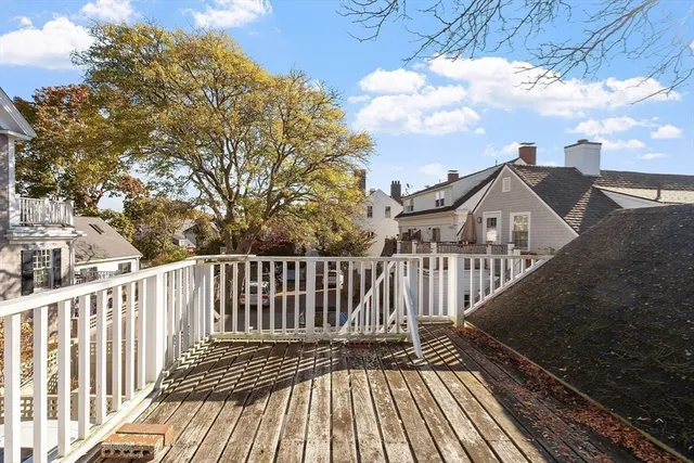 a bunch of flowers and flowers in a yard