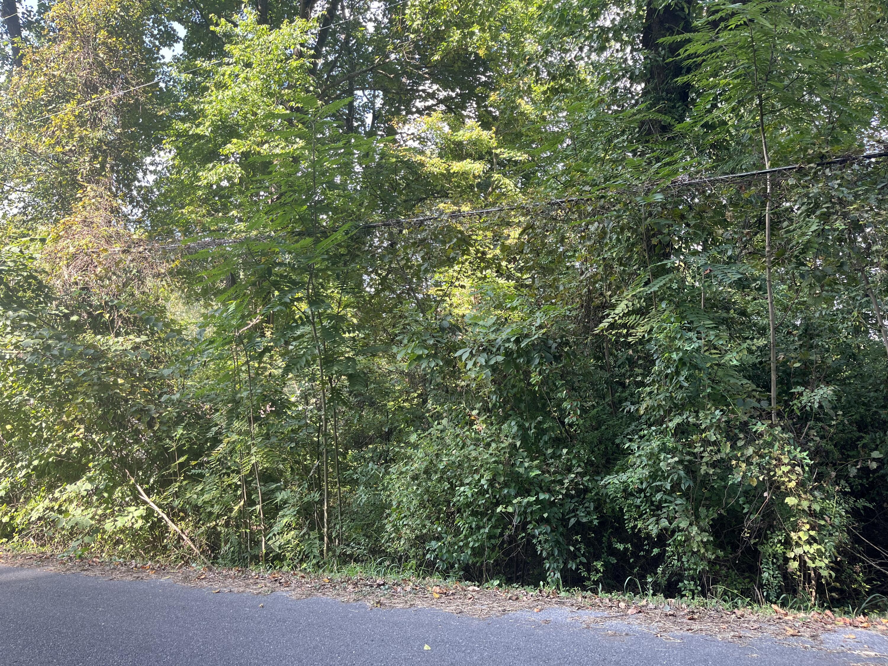 13 Highland Road, Unit 13 Jonesborough, TN 37659 - Photo 6 of 7 00F5FD12-A93F-4E07-B10C-0B6D8ED58AE6