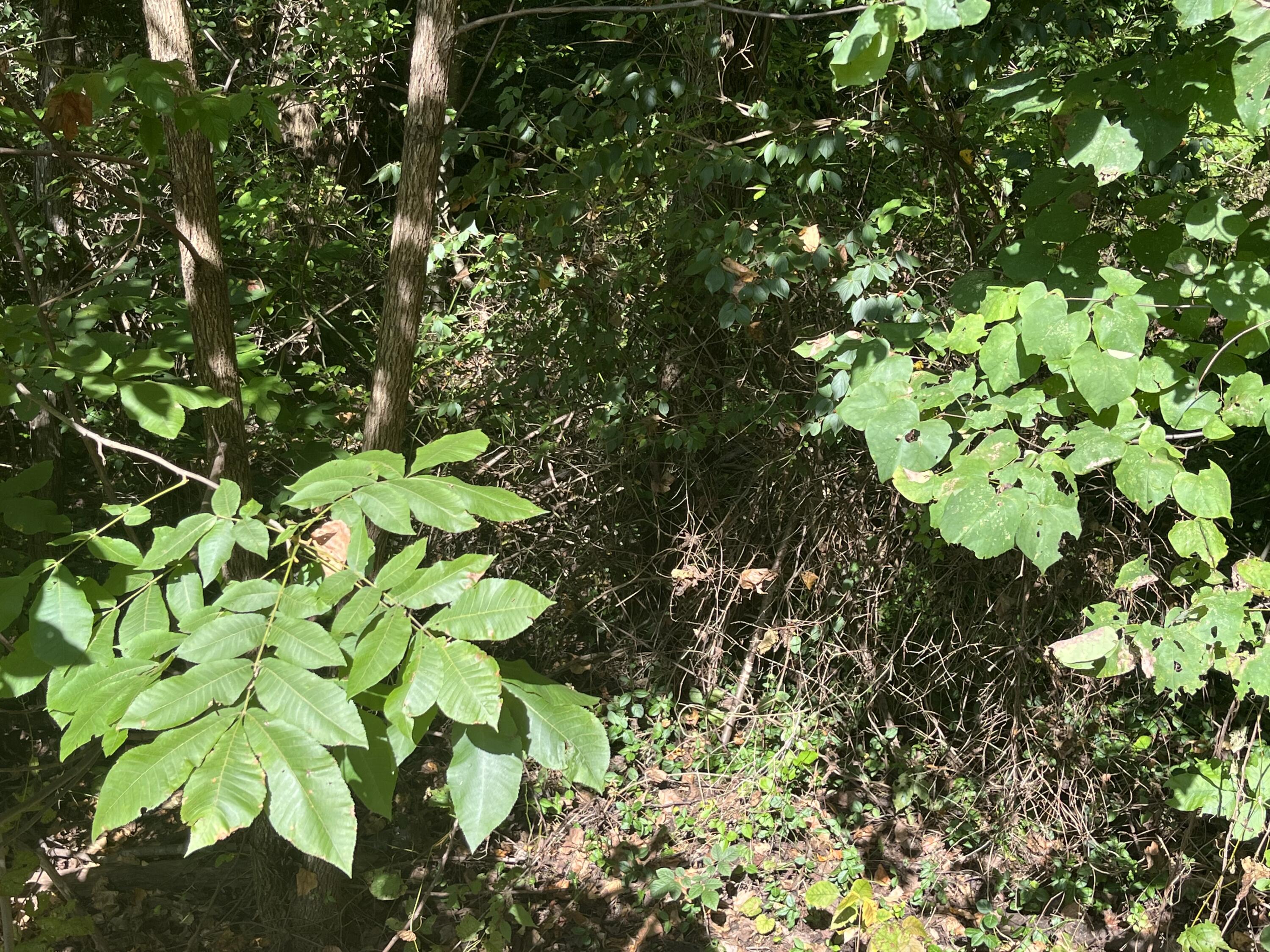 13 Highland Road, Unit 13 Jonesborough, TN 37659 - Photo 7 of 7 5EB12CC6-B9B5-4C5D-B94C-80272C3F4BC0