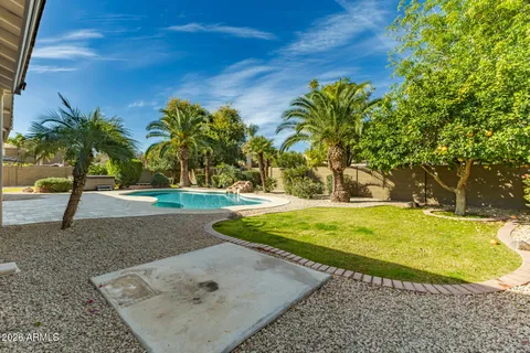 a view of a backyard with table and chairs potted plants and a large tree