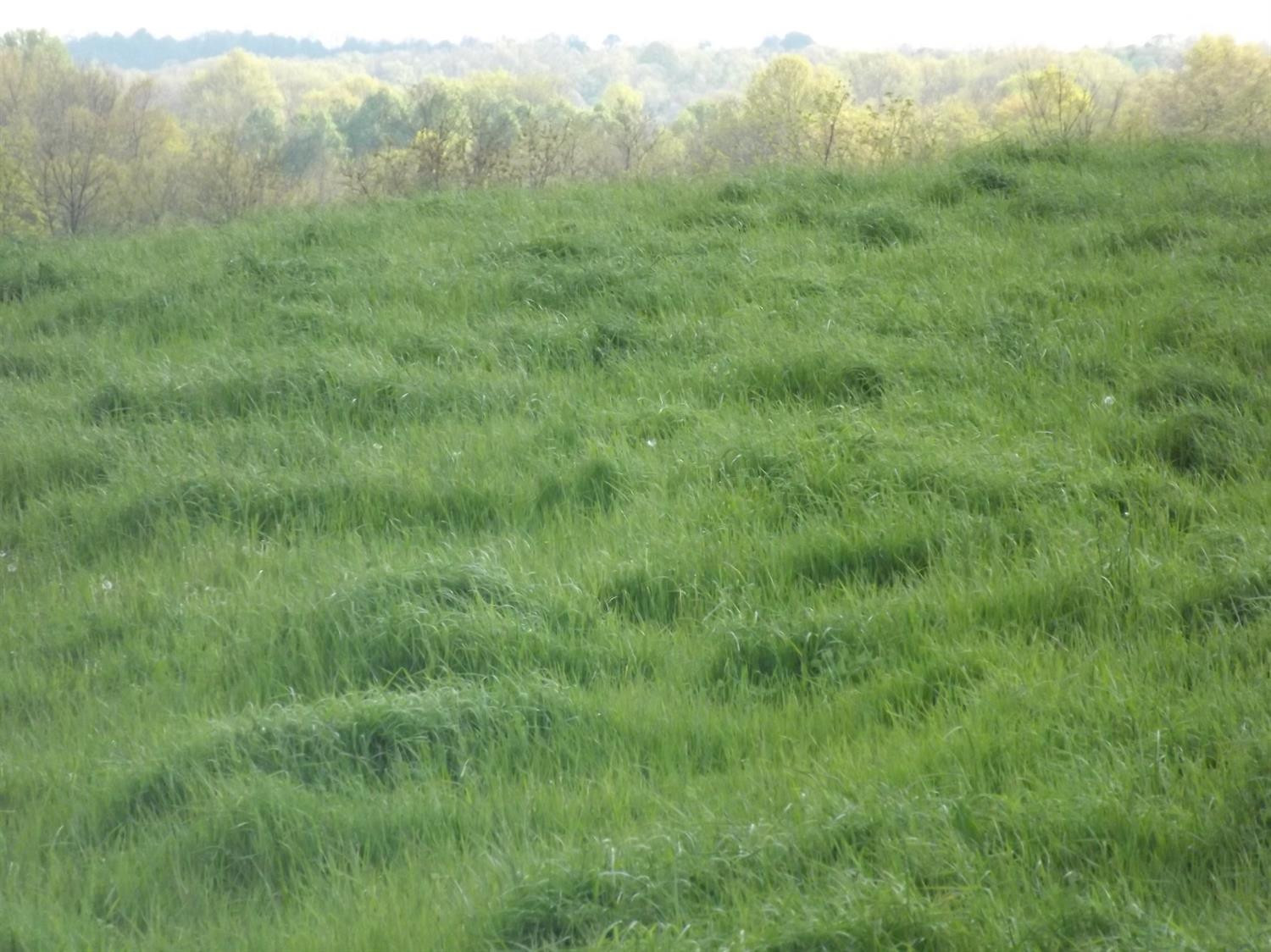 5000 Battle Road Mackville, KY 40040 - Photo 18 of 35 Photo 18