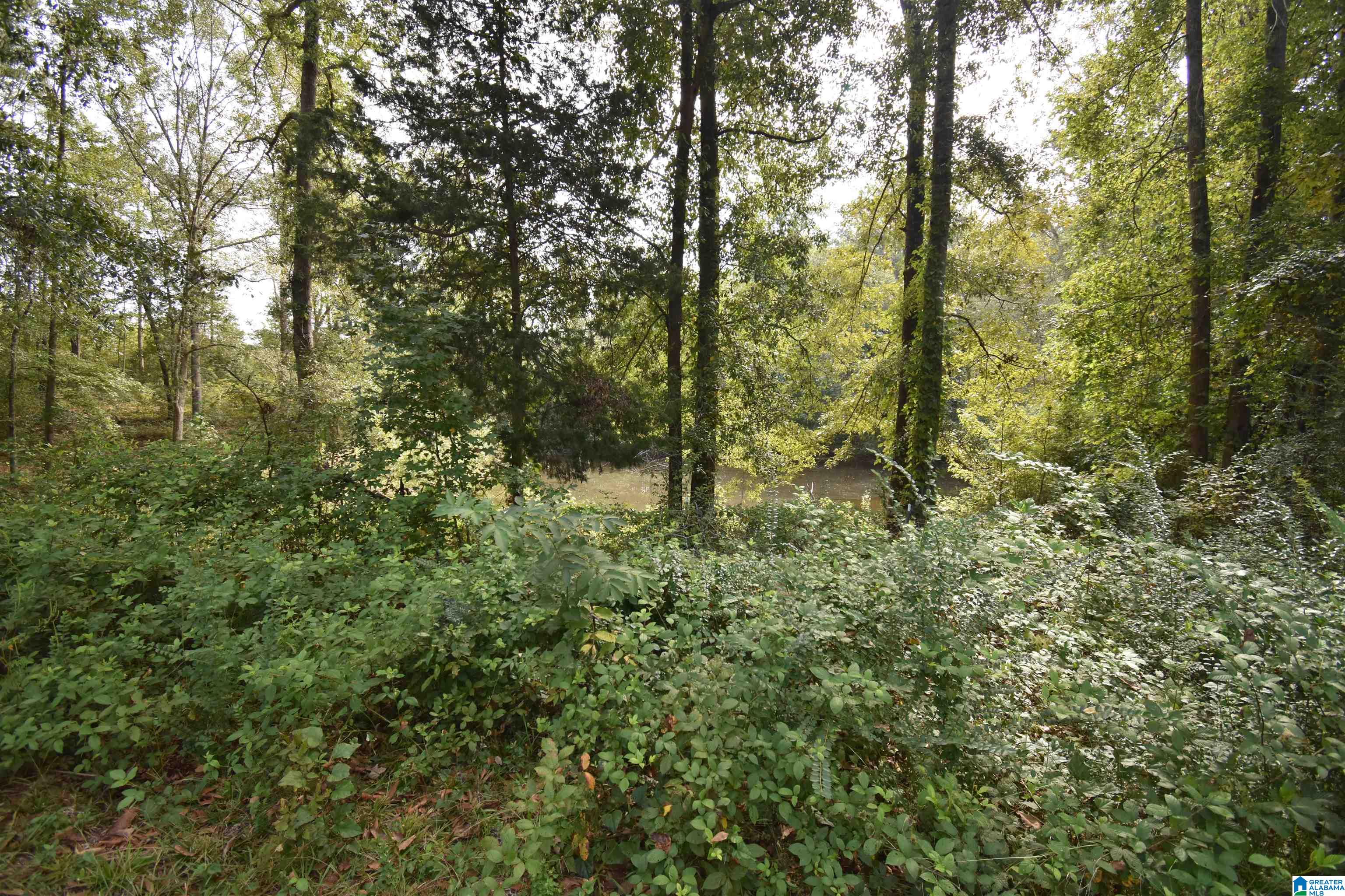 677 Old Walker Road Cleveland, AL 35049 - Photo 26 of 38