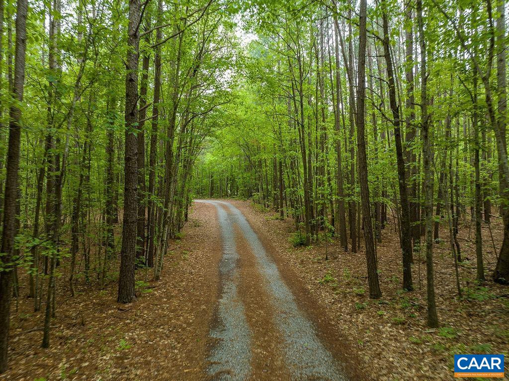 239 Lands End Road Louisa, VA 23093 - Photo 42 of 60