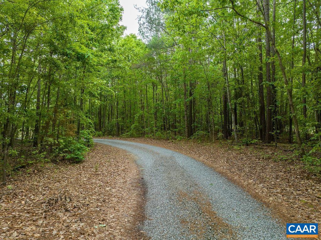 239 Lands End Road Louisa, VA 23093 - Photo 43 of 60