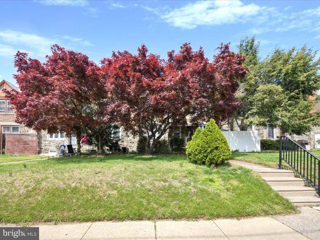 7251 Bradford Road Upper Darby, PA 19082 - Photo 2 of 39 Crub Appeal