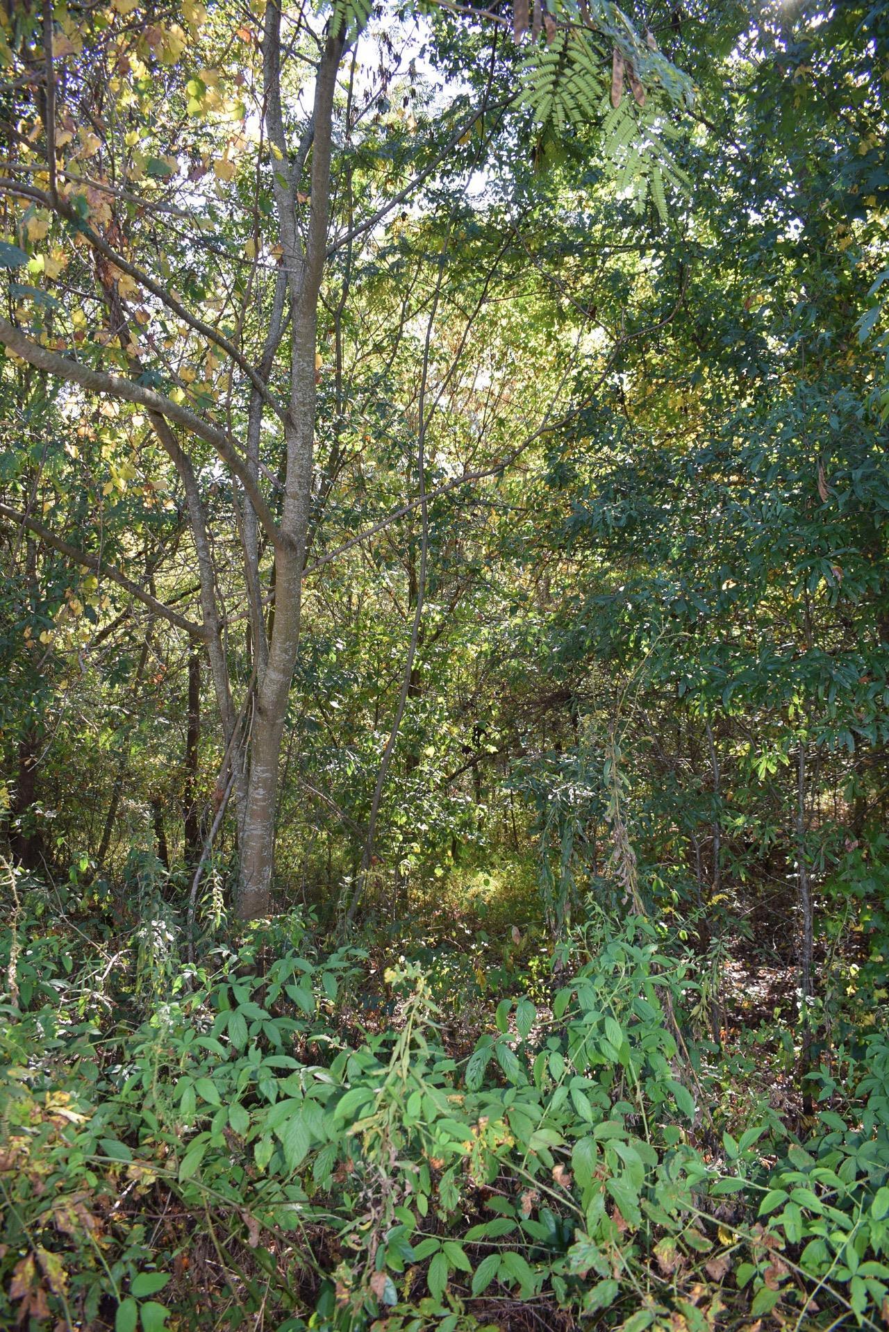 164 Cooper Road Campobello, SC 29322 - Photo 17 of 27