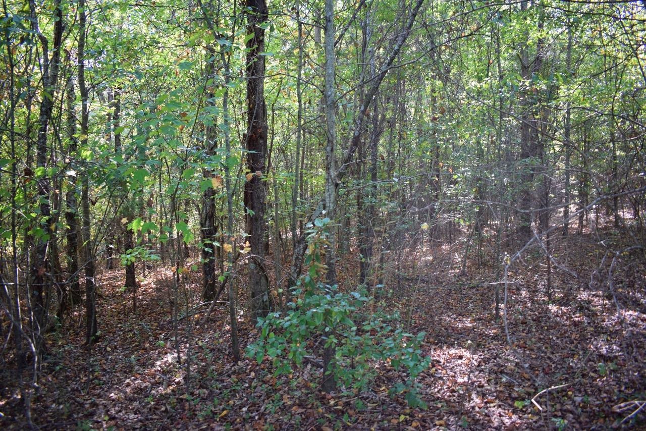 164 Cooper Road Campobello, SC 29322 - Photo 19 of 27