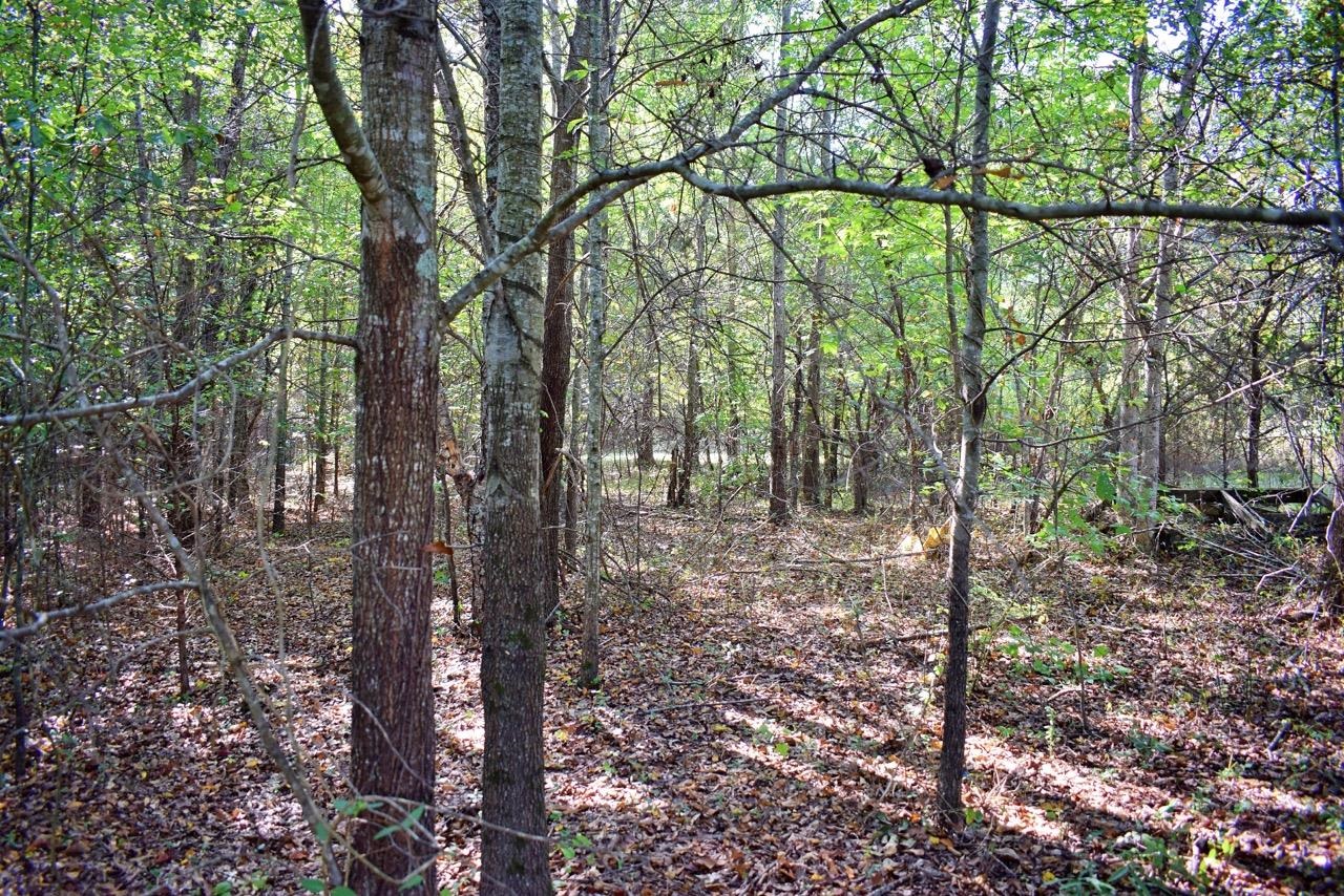 164 Cooper Road Campobello, SC 29322 - Photo 20 of 27