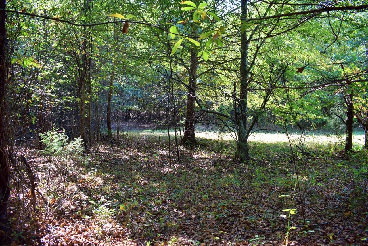 164 Cooper Road Campobello, SC 29322 - Photo 23 of 27