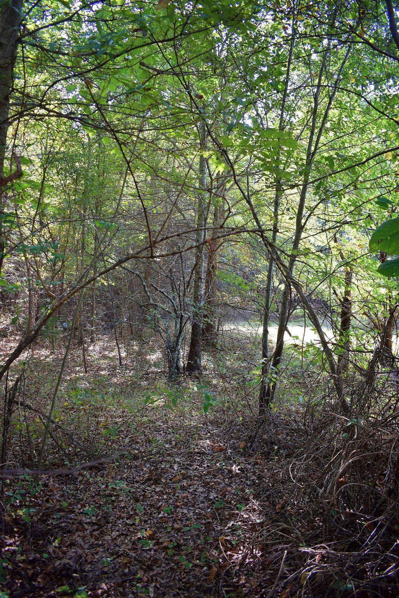 164 Cooper Road Campobello, SC 29322 - Photo 24 of 27