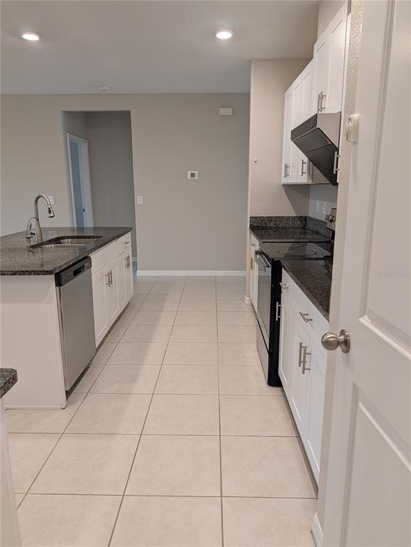 31649 Sun Kettle Loop Wesley Chapel, FL 33545 - Photo 7 of 74