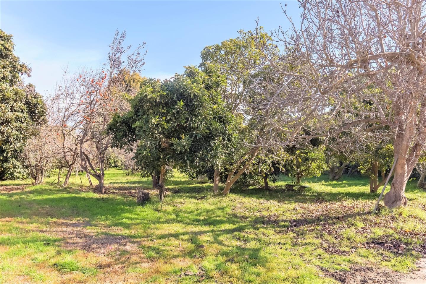 36861 Foothill Road Soledad, CA 93960 - Photo 32 of 32 Gallery Image 32