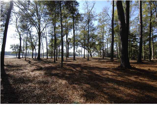 4585 Hagan Road Meggett, SC 29449 - Photo 3 of 4 Additional Photo