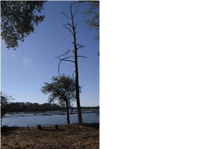 4585 Hagan Road Meggett, SC 29449 - Photo 4 of 4 Additional Photo