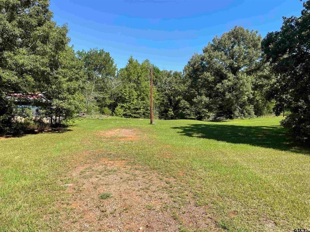 201 VZ County Road Ben Wheeler, TX 75754 - Photo 1 of 1 a view of a field with an trees