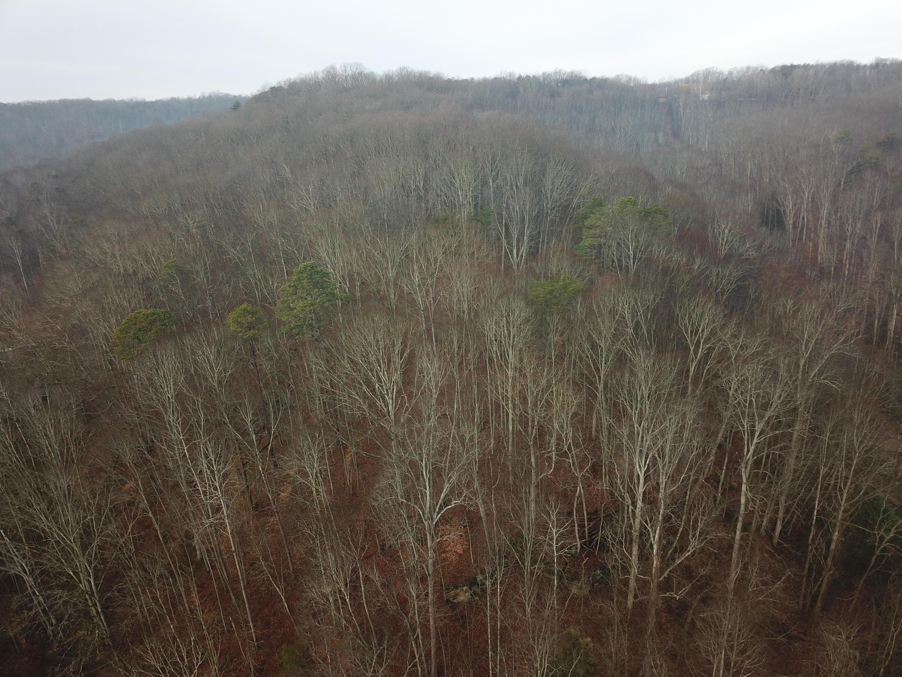 12001 West Buck Run Road Rockbridge, OH 43149 - Photo 4 of 12