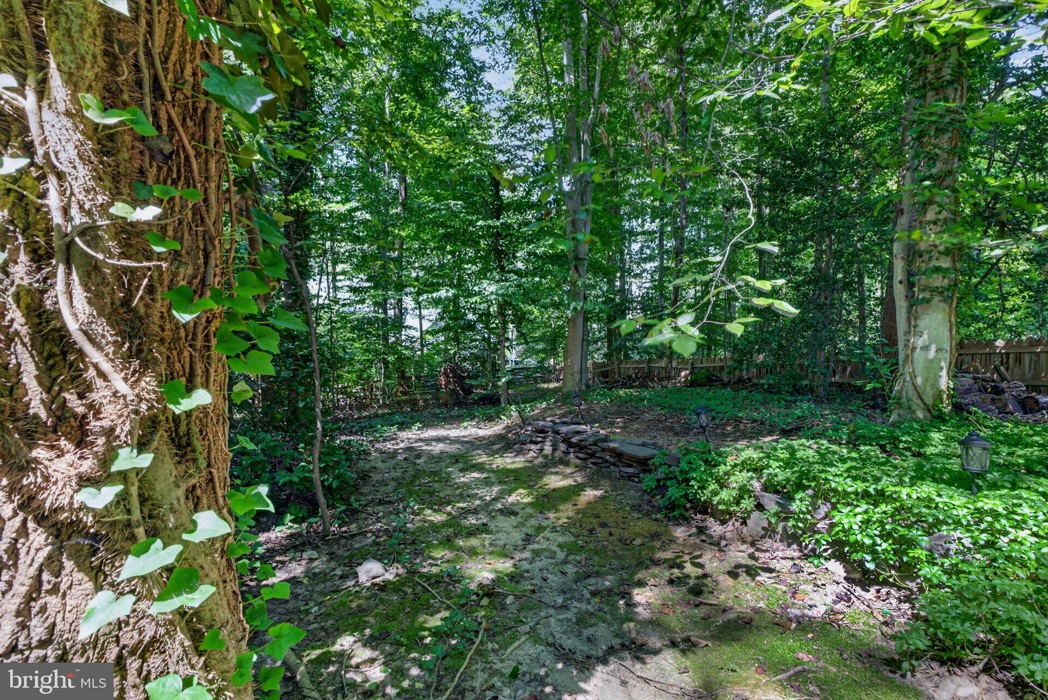12154 Darnley Road Woodbridge, VA 22192 - Photo 3 of 43 Gallery Image 3