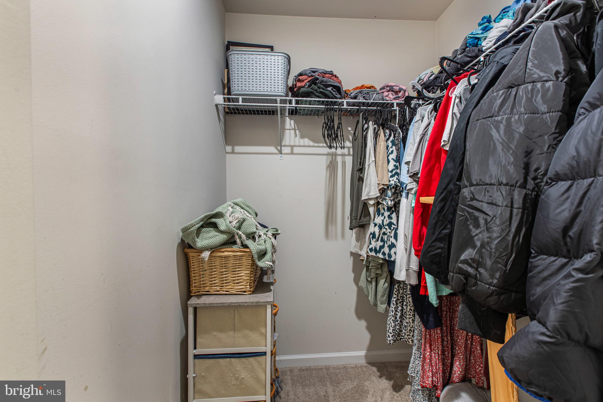 34 Blackgum Road Elkton, MD 21921 - Photo 20 of 37 a view of walk in closet with clothes and shoes
