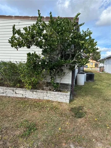 a view of a yard with plants and a bench