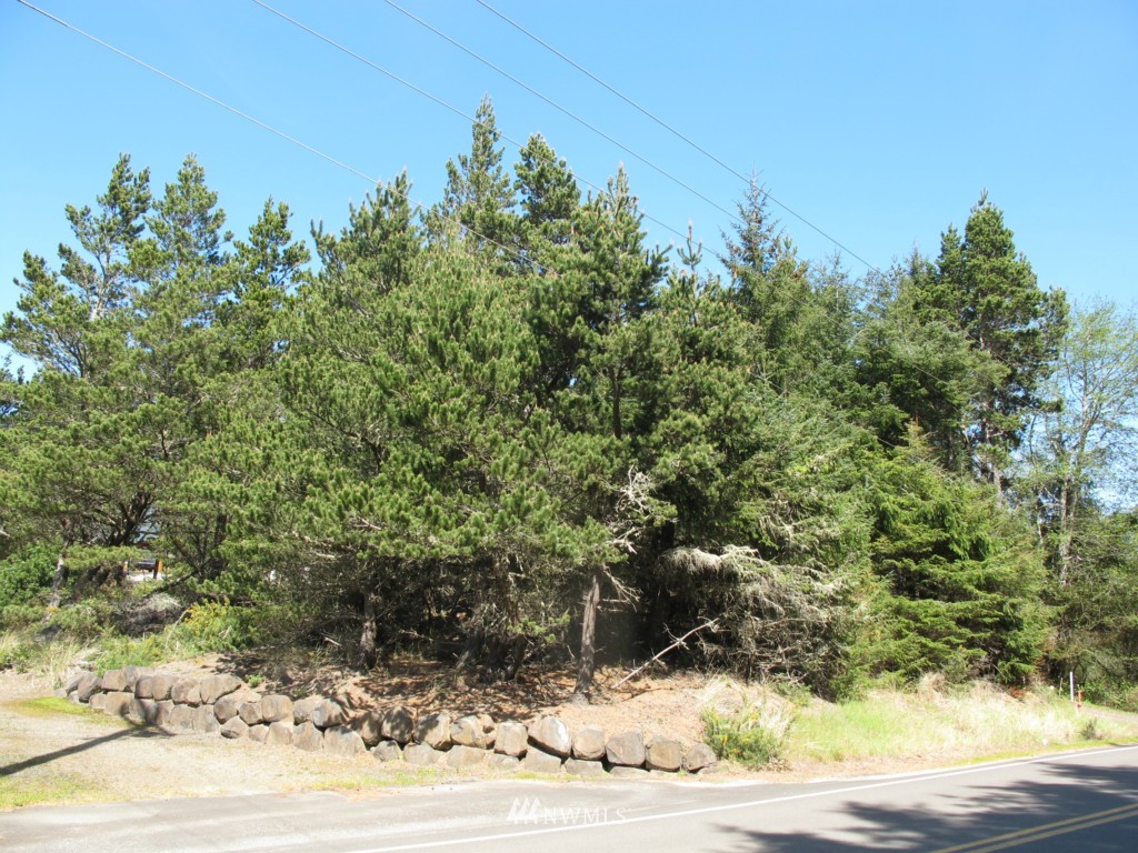 1005 Oysterville Road Ocean Park, WA 98640 - Photo 4 of 5 Gallery Image 4