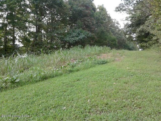 1712 Bailey Point Road Scottsville, KY 42164 - Photo 1 of 5 lot 19 1