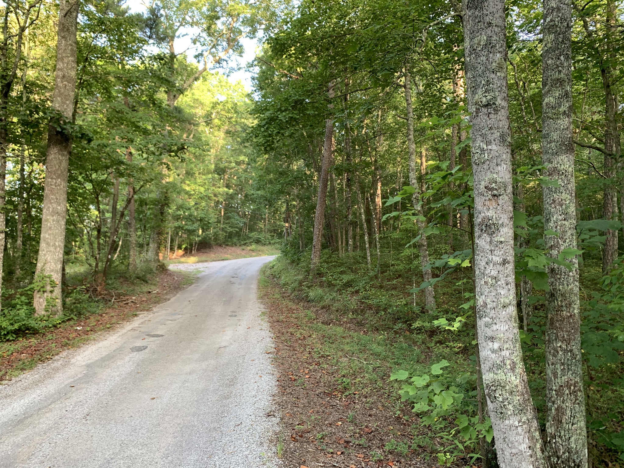 0 Popular Springs Road Tracy City, TN 37387 - Photo 12 of 18 Gallery Image 12