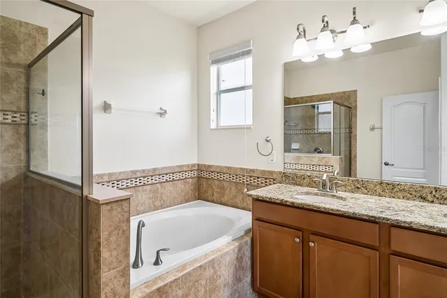 a bathroom with a tub sink and mirror