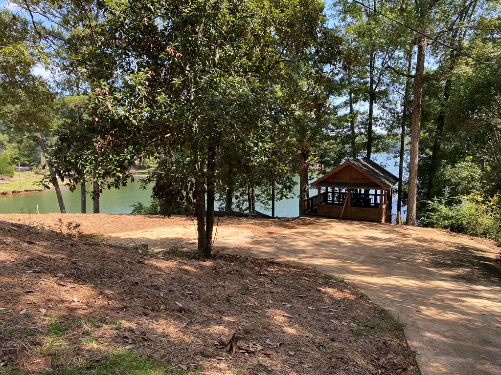 221 Layfield Branch Road Hamilton, GA 31811 - Photo 7 of 34 Gallery Image 7