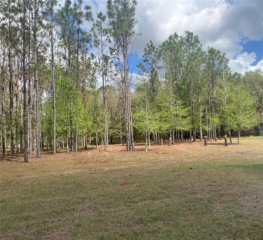 471 Sr Webster, FL 33597 - Photo 12 of 16