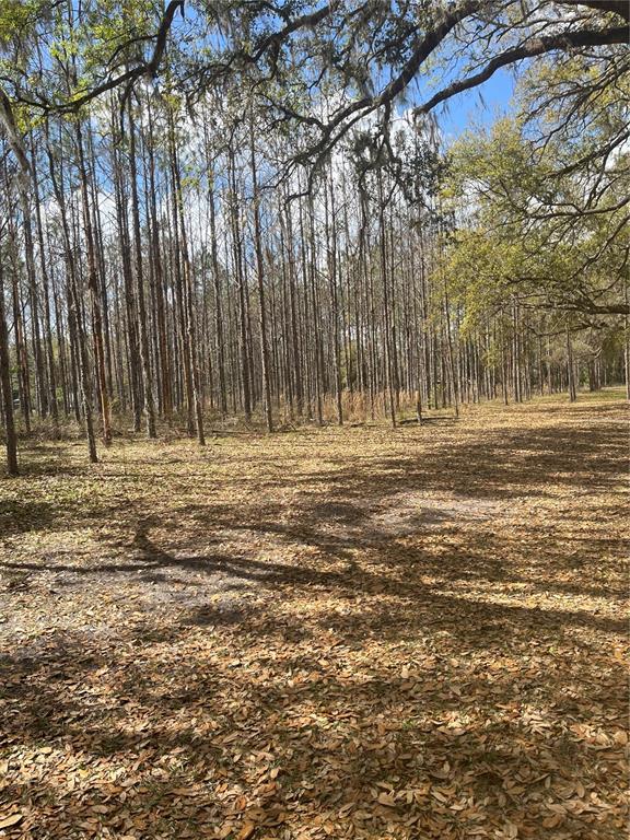 471 Sr Webster, FL 33597 - Photo 13 of 16