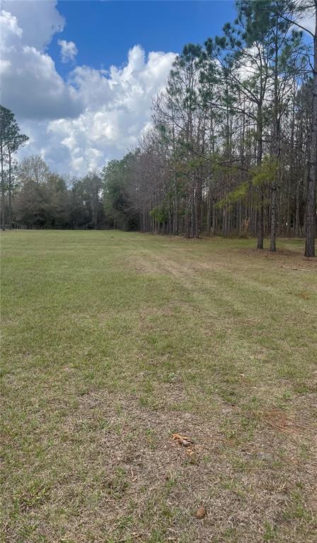 471 Sr Webster, FL 33597 - Photo 15 of 16