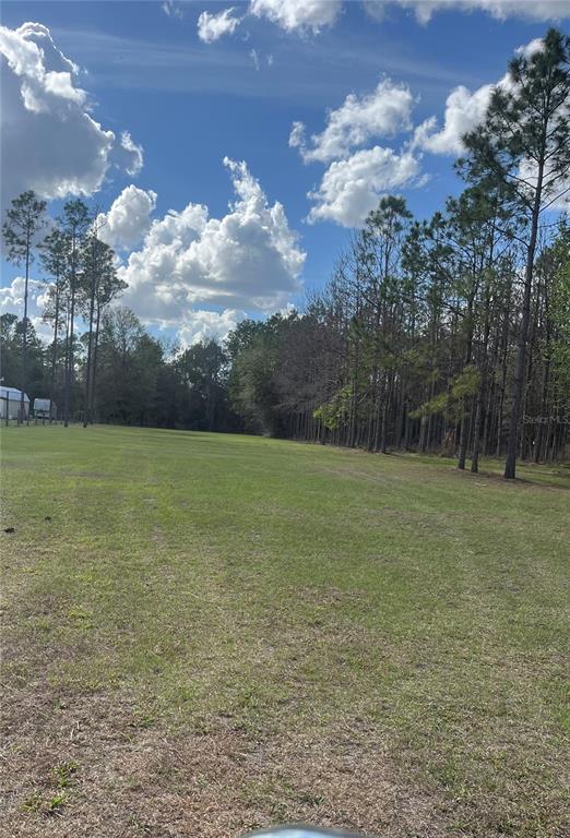 471 Sr Webster, FL 33597 - Photo 16 of 16