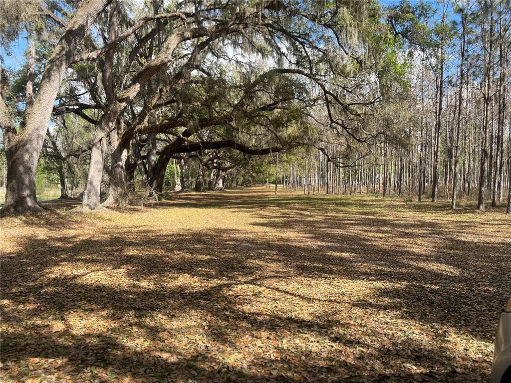 471 Sr Webster, FL 33597 - Photo 3 of 16