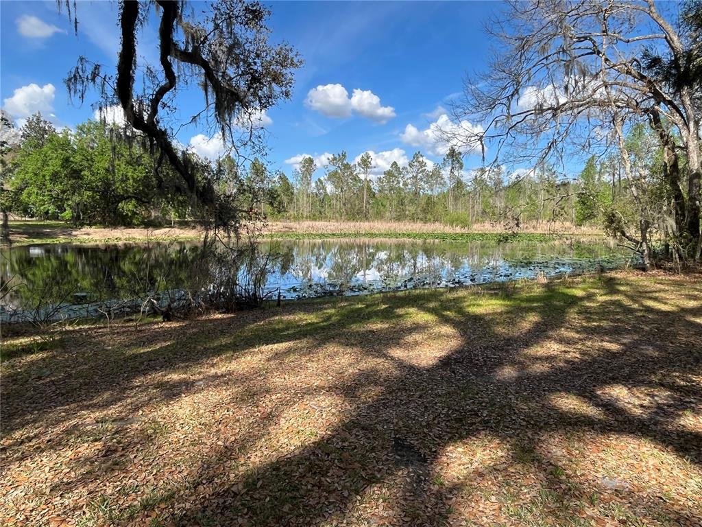 471 Sr Webster, FL 33597 - Photo 4 of 16