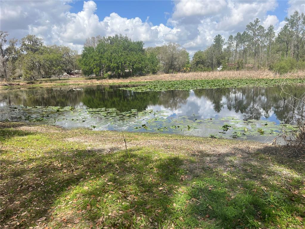 471 Sr Webster, FL 33597 - Photo 5 of 16