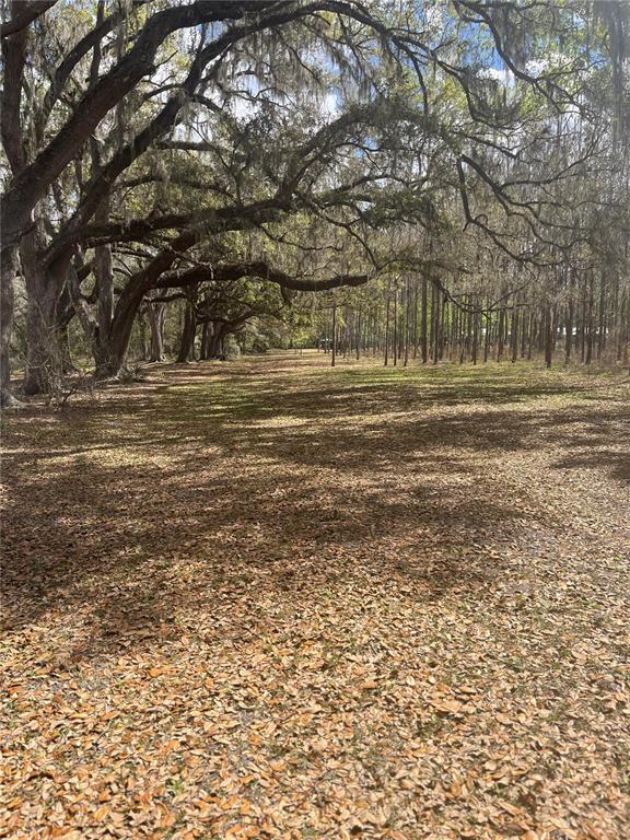 471 Sr Webster, FL 33597 - Photo 7 of 16