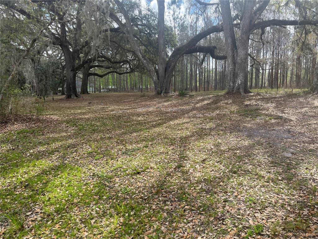 471 Sr Webster, FL 33597 - Photo 8 of 16