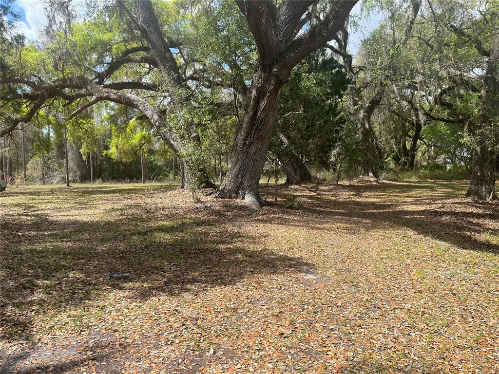 471 Sr Webster, FL 33597 - Photo 9 of 16