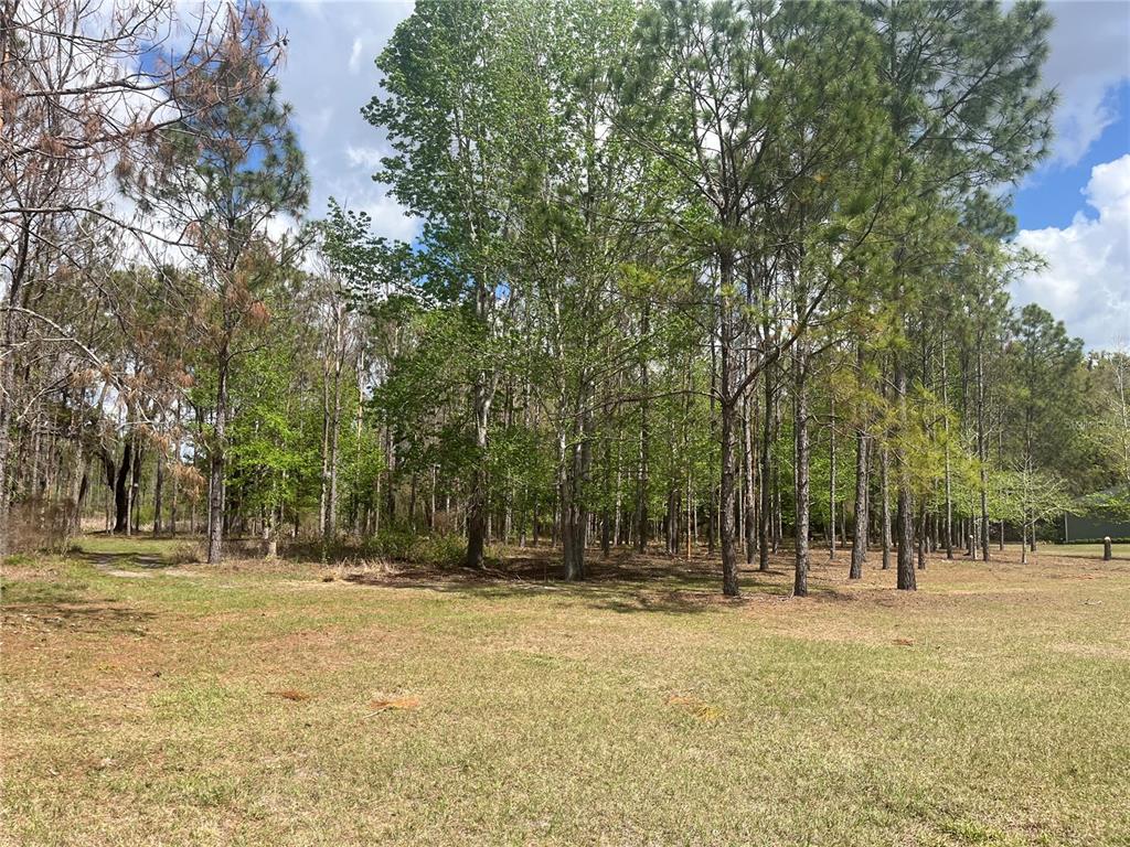 471 Sr Webster, FL 33597 - Photo 10 of 16