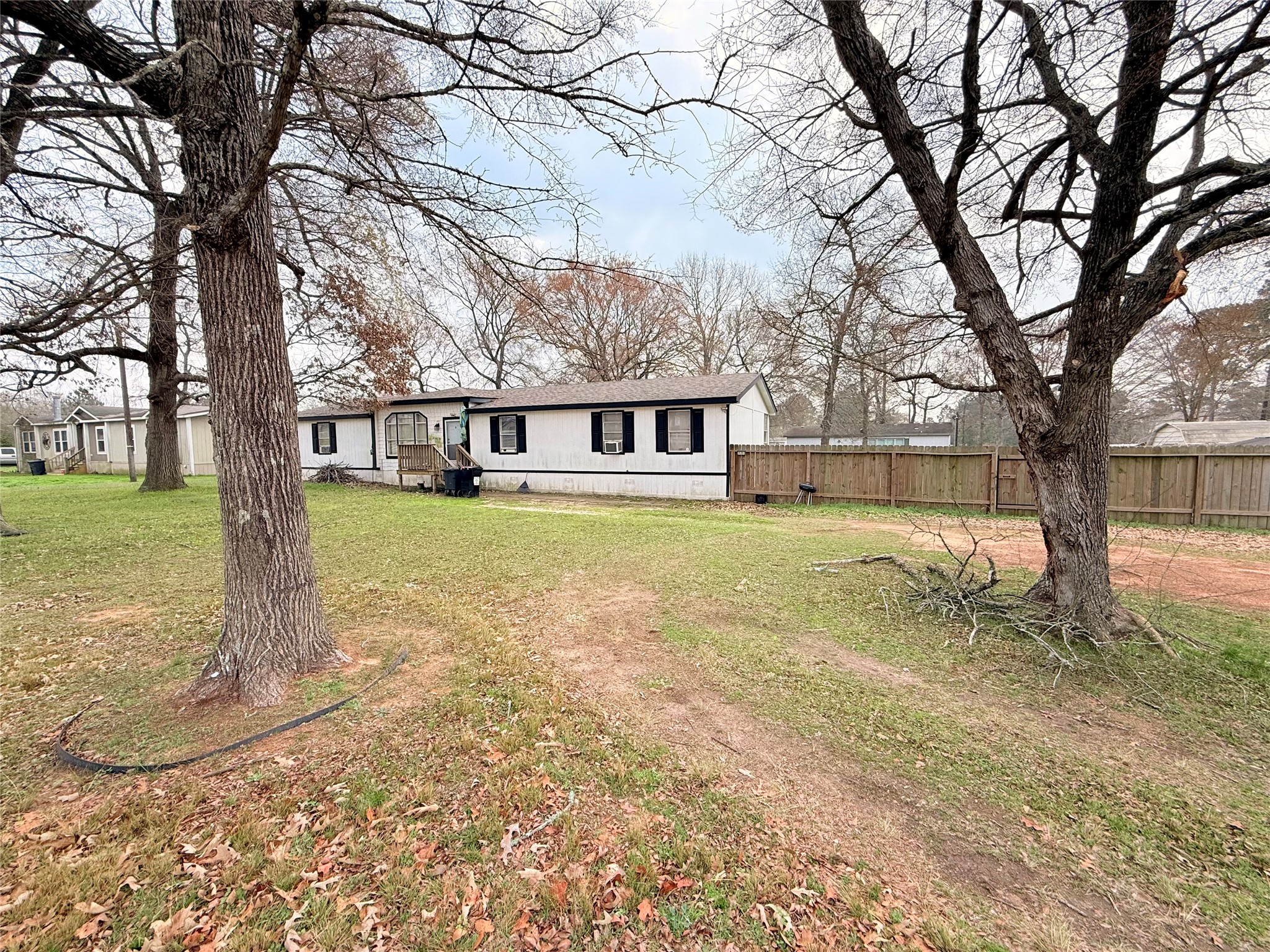 25351 Bluff View Court Magnolia, TX 77355 - Photo 3 of 9 a view of a yard with a tree