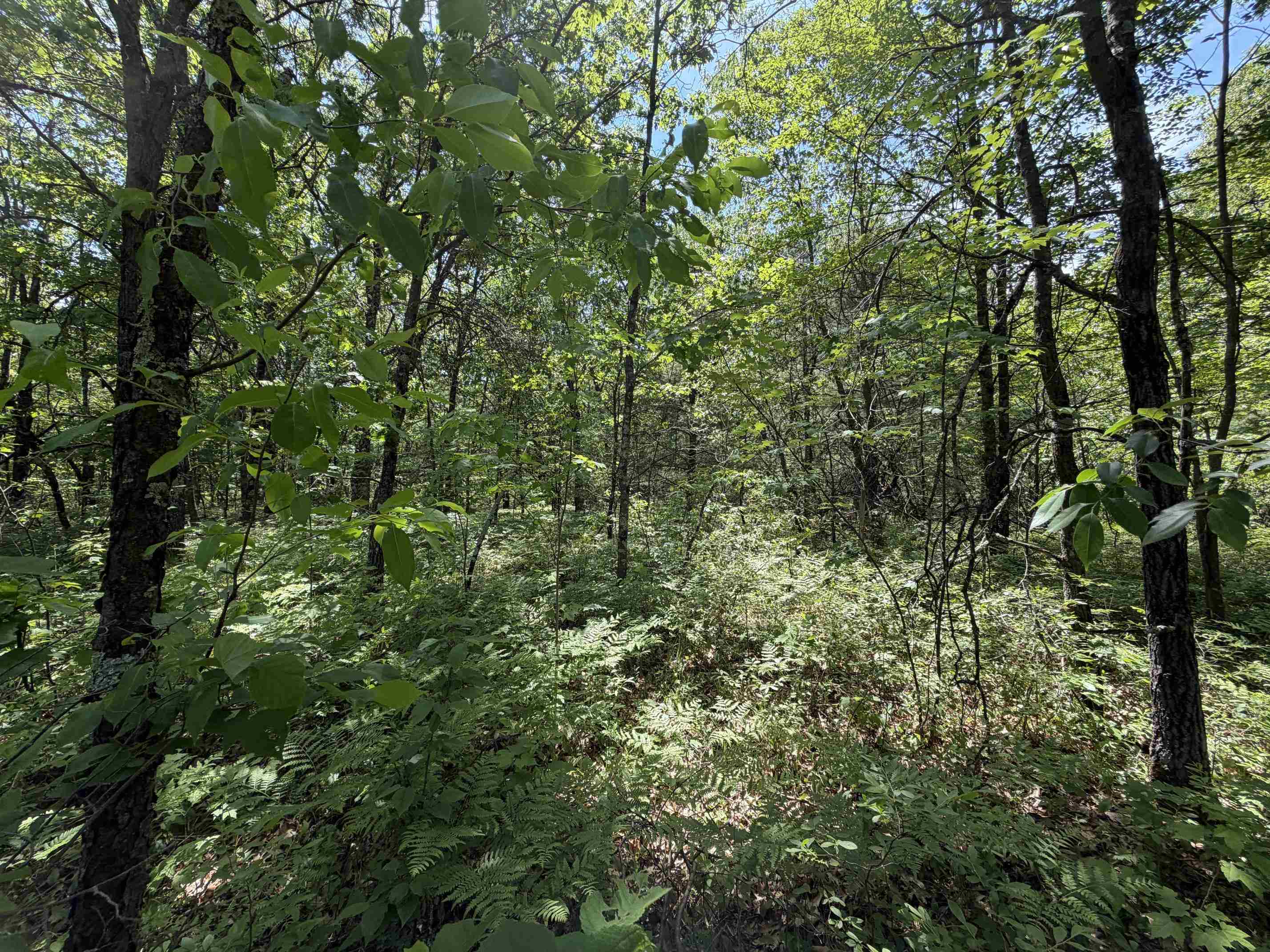 North Court, Unit 49 Shawano, WI 54166 - Photo 6 of 19