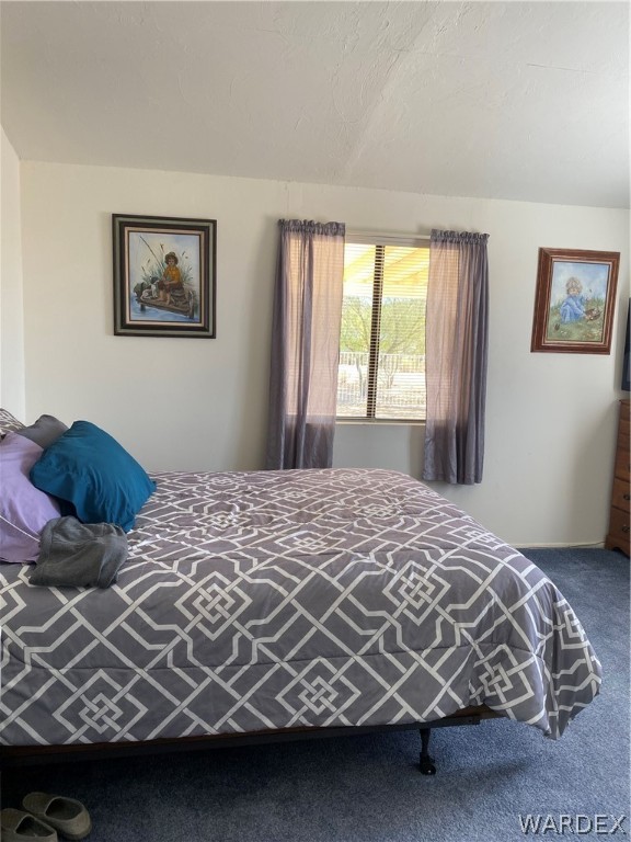 3341 Kelvin Road Golden Valley, AZ 86413 - Photo 12 of 49