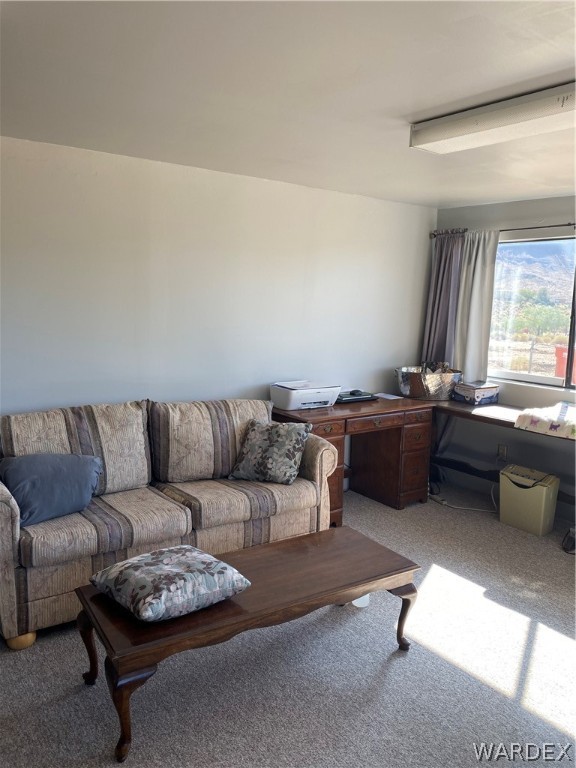 3341 Kelvin Road Golden Valley, AZ 86413 - Photo 18 of 49
