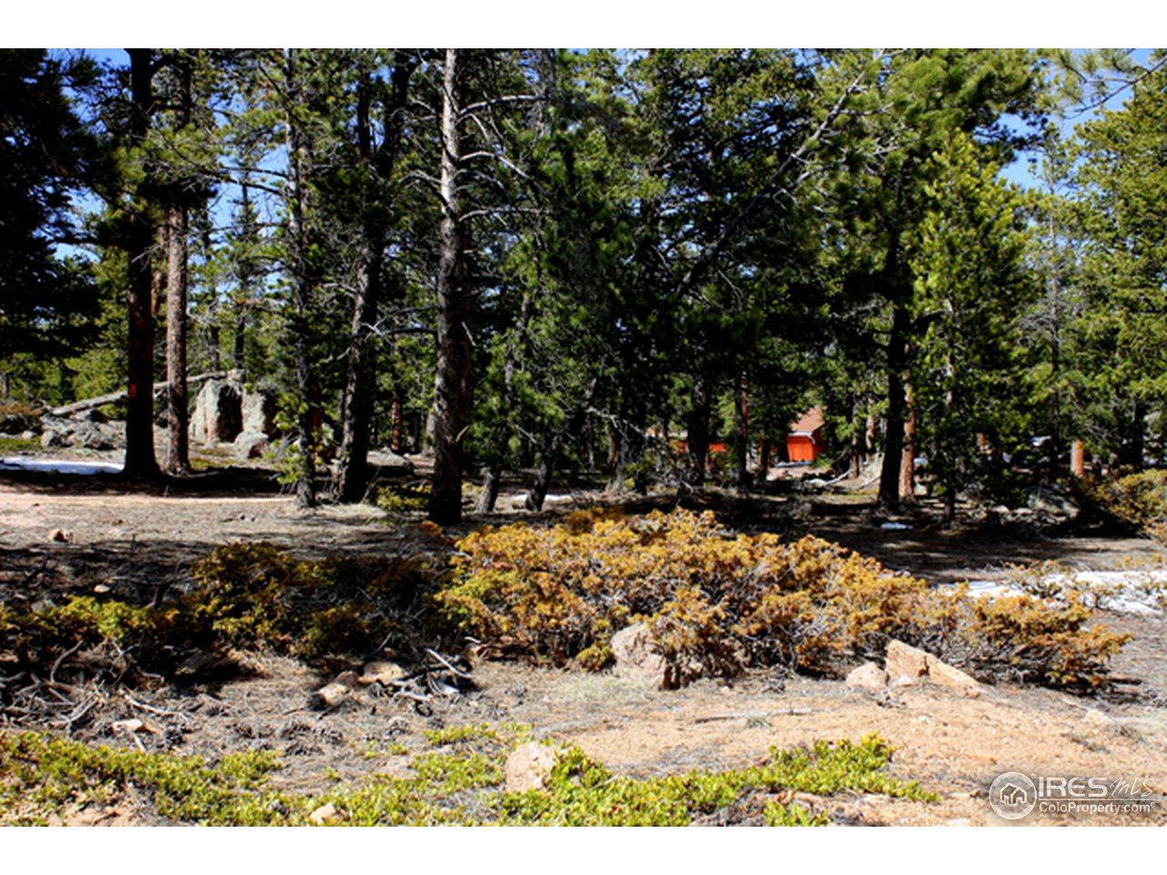368 Shawnee Road Red Feather Lakes, CO 80545 - Photo 14 of 14 secluded and private