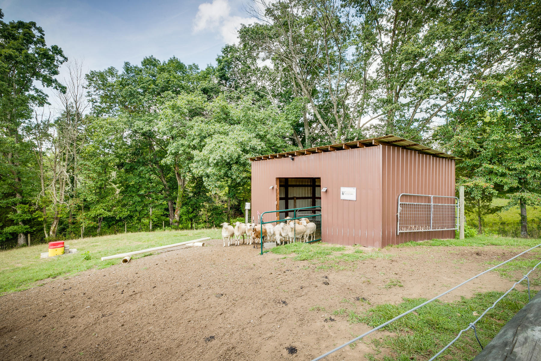 409 Packing House Road Kingsport, TN 37660 - Photo 54 of 58 054