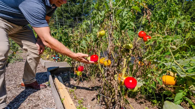 $850,000 | 6 Kingfisher Way, Mystic, CT 06355